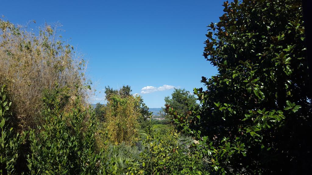 Casolare Al Dopolavoro Villa Lucca Luaran gambar