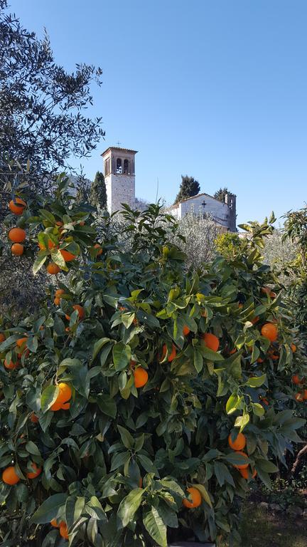 Casolare Al Dopolavoro Villa Lucca Luaran gambar