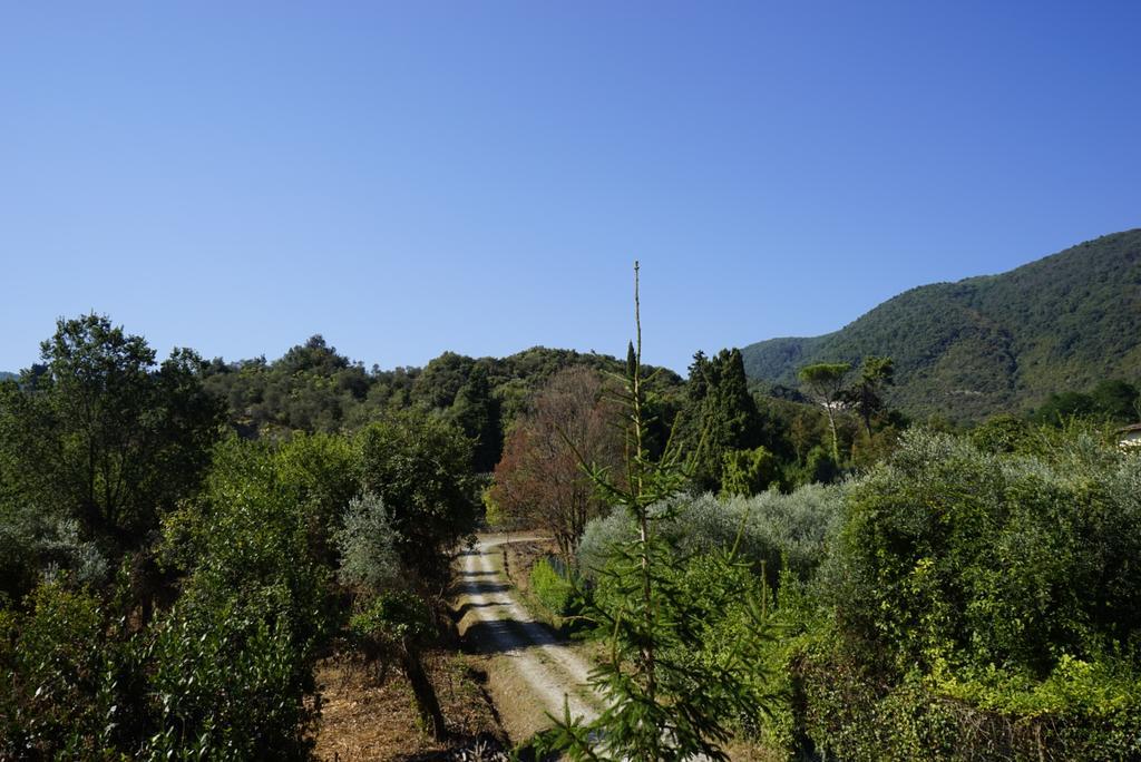 Casolare Al Dopolavoro Villa Lucca Luaran gambar