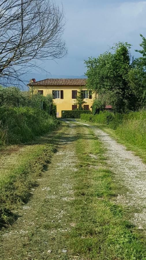 Casolare Al Dopolavoro Villa Lucca Luaran gambar